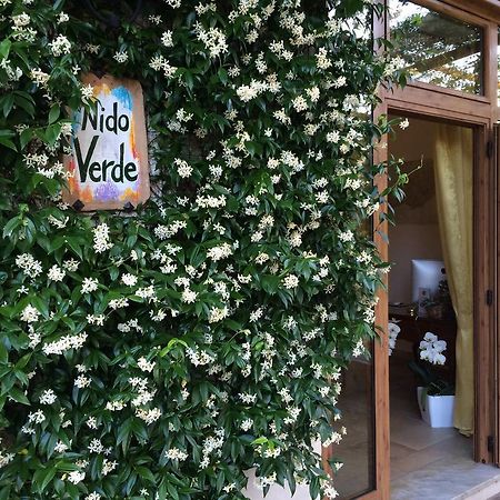 Nido Verde Agerola Esterno foto
